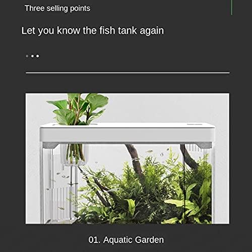 GHGHF Desktop kreativno uređenje domaćinstva mali ekološki akvarijum za ribu mikro pejzaž bez promjene vode akril Mini akvarijum