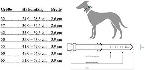 Hunter Hundehalsband Basic, 24-28,5 cm, siva / crna