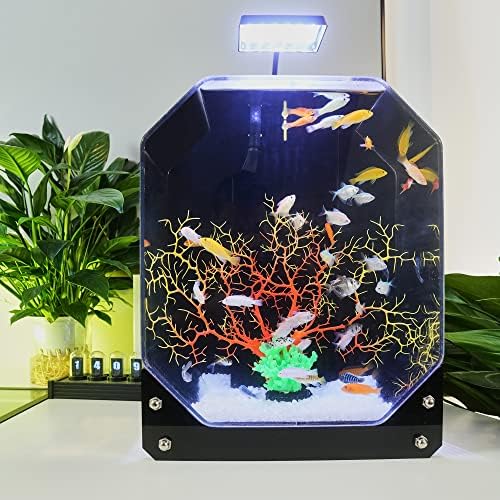 9,6 galona akrilni osmougaoni akvarijum Creative Desktop Aquarium pejzažni ekološki rezervoar za uređenje doma, ured