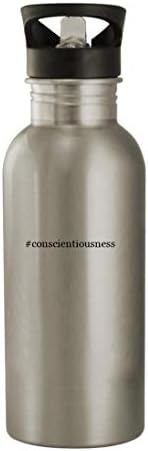 Knick Klack Pokloni Consciansnionstvo - 20oz boca vode od nehrđajućeg čelika, srebrna