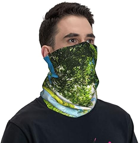 Sunny Forest Lake štampana multifunkcionalna sportska traka za glavu Casual Stretch bešavna maska za znoj traka za glavu vrat Headdress