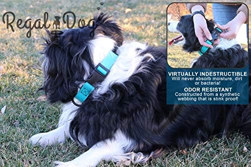 Kraljevski Proizvodi za pse prilagođeni mali Nebesko plavi vodootporni ovratnik sa kopčom visoke čvrstoće i prstenom podesivim za